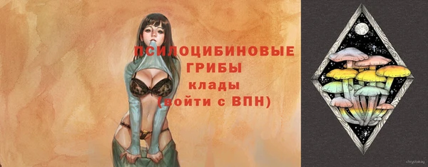 хмурый Горнозаводск