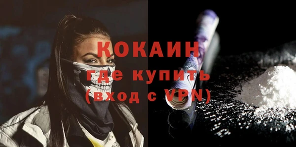 шишки Горняк
