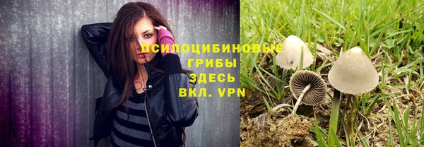 хмурый Горнозаводск